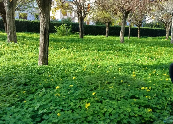 Sun & Sea - Vista Mare 肯波拉圣吉奥瓦尼