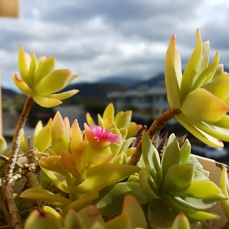 Appartement Sun And Sea *