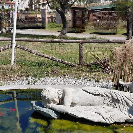 Sun & Sea - Vista Mare