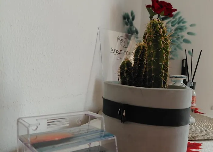 Sun & Sea - Vista Mare *