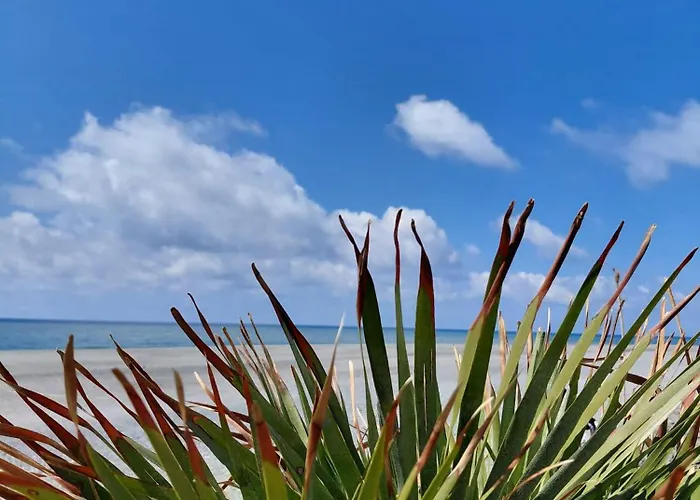 Sun & Sea - Vista Mare 캄포라산지오바니